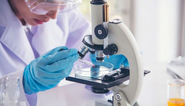 Фармкомпания AbbVie и EvolveImmune Therapeutics начали сотрудничество в области онкологии.