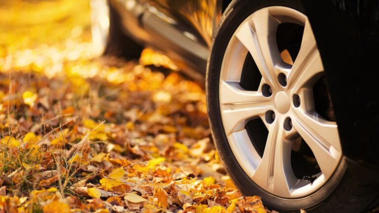 Все больше стран ЕС, включая Болгарию, выступают против экоштрафов на автомобили