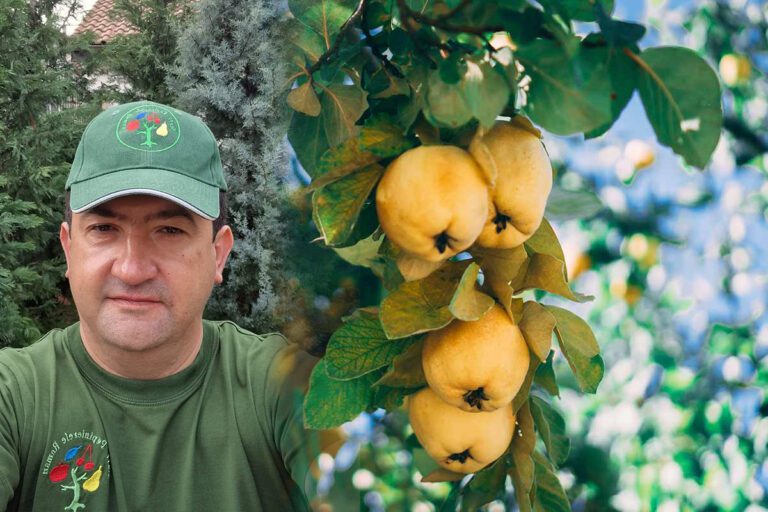 Румын, нанесший удар очень популярным в нашей стране фруктом. Рекордная продукция Мариуса продается по 12 леев за килограмм – урок для фермеров