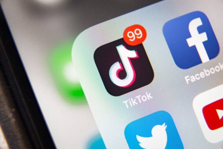TikTok, Facebook и Google: министр цифровизации объявляет о быстром механизме сообщения о незаконном контенте