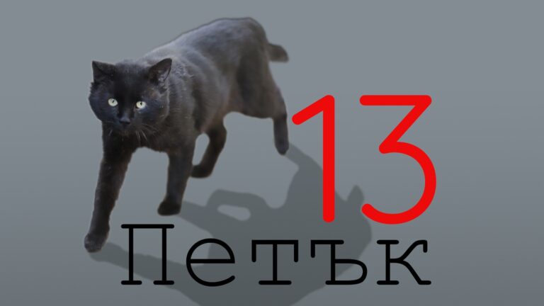 В пятницу, 13-го: Хоть несколько черных кошек перейдут дорогу этим знакам – им нехорошо!