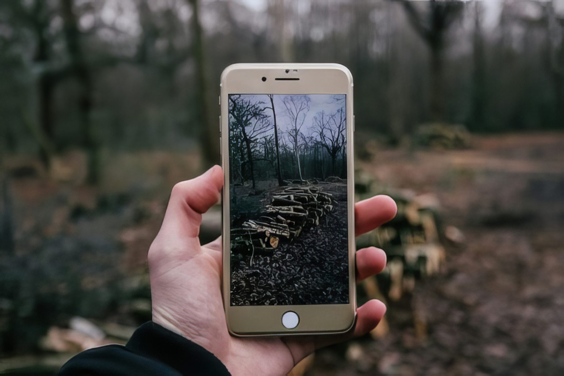 3 наиболее важные характеристики iPhone