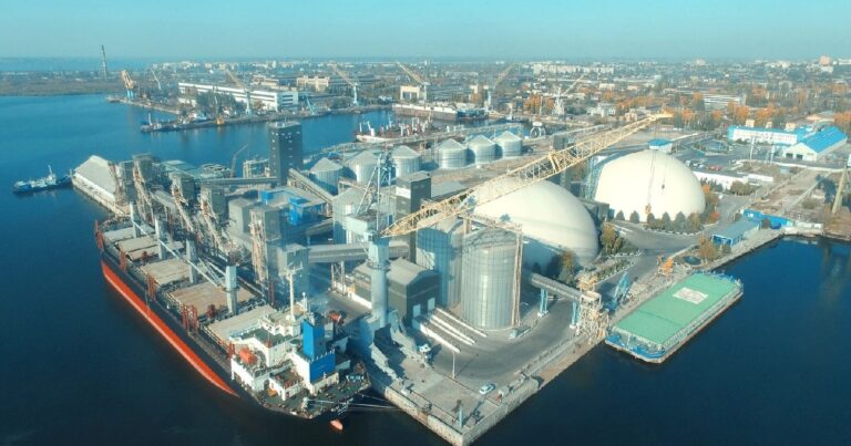Agro Holding of Nibulon понесла 500 миллионов долларов с начала полноценной войны