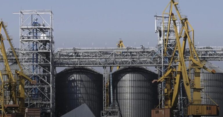 Аграрная продукция составила 59% общего экспорта Украины в 2024 году