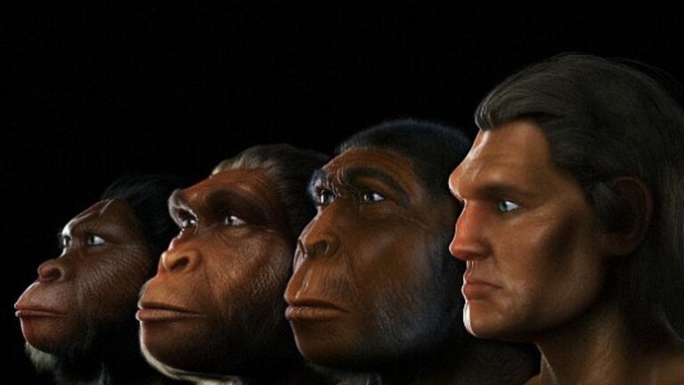 Первый крупный технологический скачок в Европе, 900 000 лет назад: как началась обработка каменных инструментов Первый крупный технологический скачок в Европе, 900 000 лет назад: как началась обработка каменных инструментов