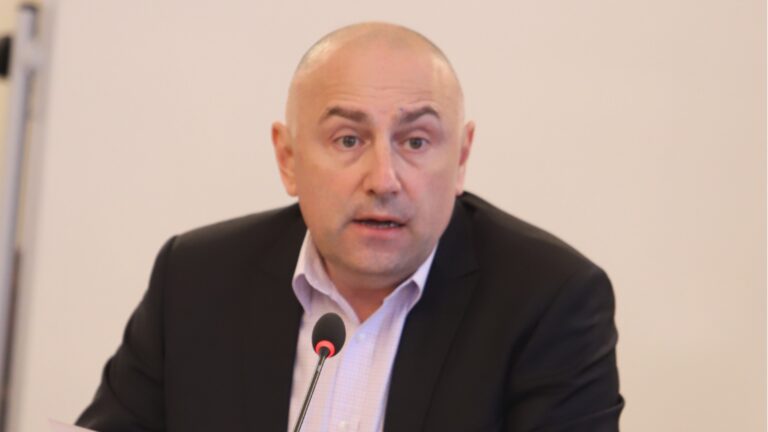 Кариман: Евро -критики используют невежество людей, чтобы манипулировать ими