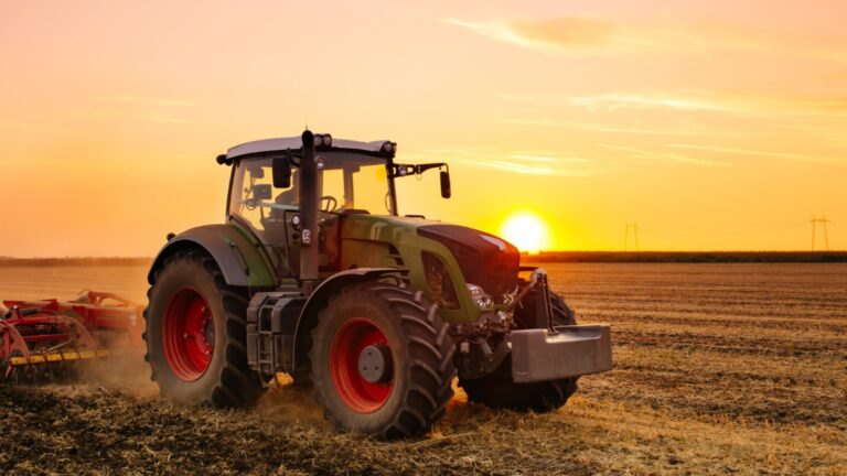 Цены на производство в сельском хозяйстве увеличились в конце 2024 года.