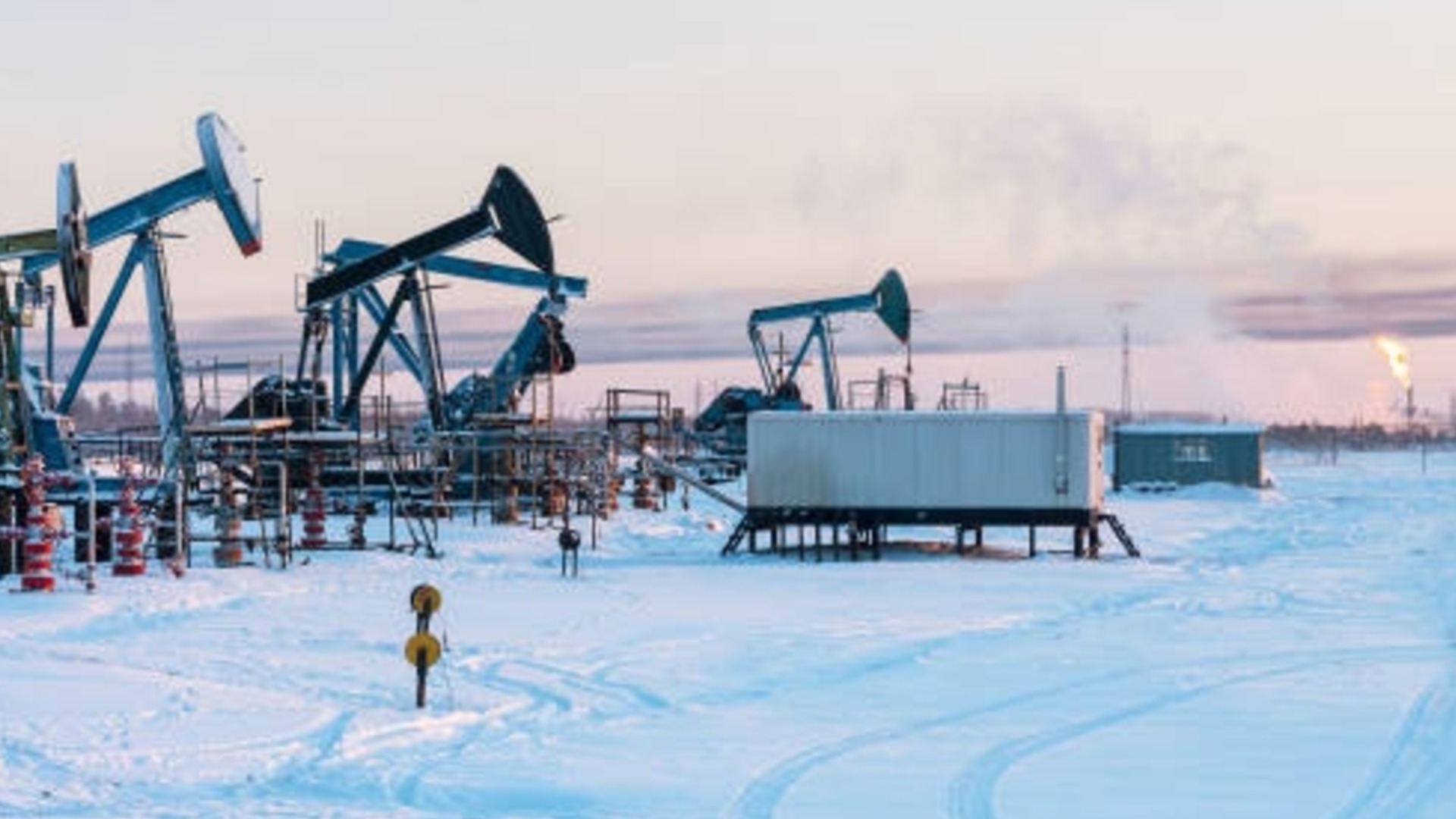 Слабый урожай от России повлиял на цену нефти