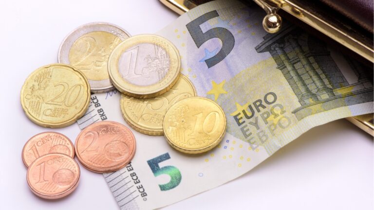 В магазинах разница будет в интересах пользователя: экономист для принятия евро