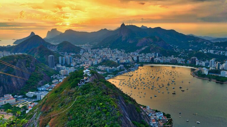 Бразилия присоединилась к OPEC+