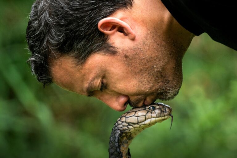 Когда вы видите «Дэвид Блейн, пытается» на National Geographic