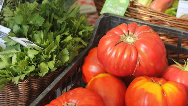 Позвоните в День Бойкота: штат, чтобы предоставить больше фермеров рынков