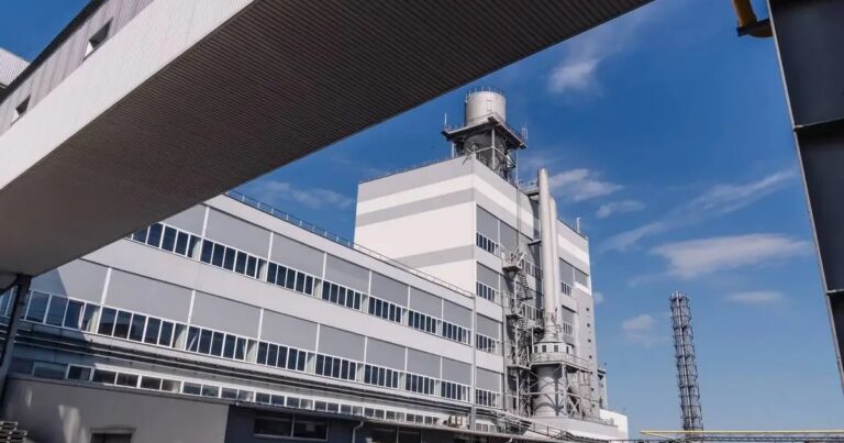 Растение винницпоббутхима было введено в объекты большой приватизации