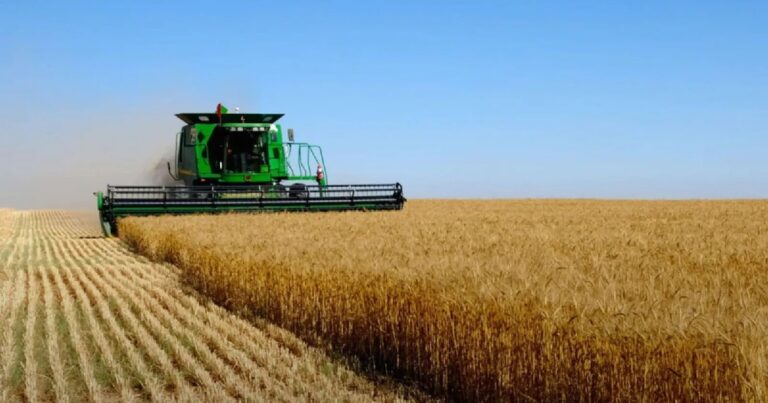 Больше, чем 78 миллионов аааа принесли первые аукционы Земельного банка в 2025 году в бюджет