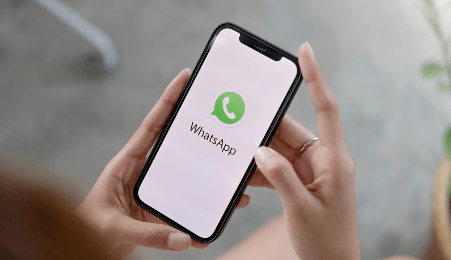 Изменения в WhatsApp: новая опция позволяет пользователям настраивать свои чаты с новыми графическими темами