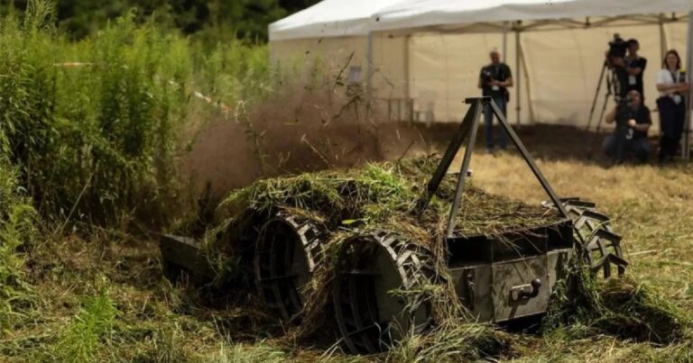 Машины для аренды и лизинга теперь могут быть взяты в Украине