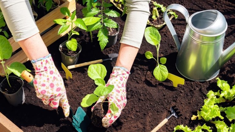 Что сажать в марте - растения, которые не боятся холода