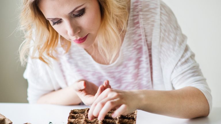 Что и когда посадить в феврале 2025 года?