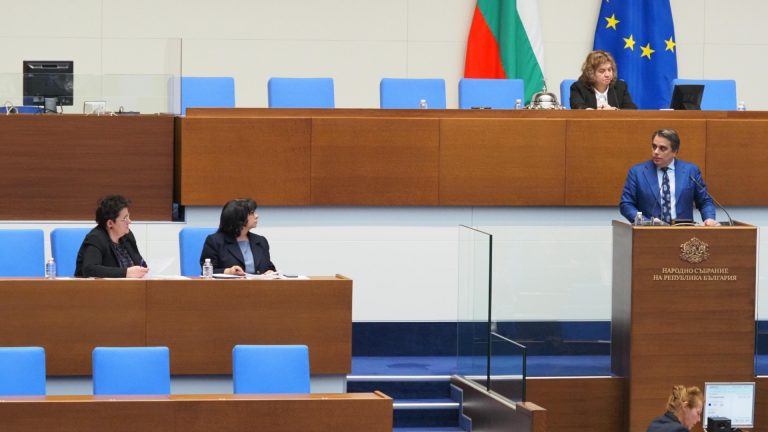 Квадратные квадраты до раннего утра, Assen Vasilev сияет: бюджет 2025 только на первом чтении