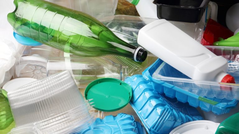 Что такое устойчивый образ жизни и как мы можем держать землю с ним? (Видео)