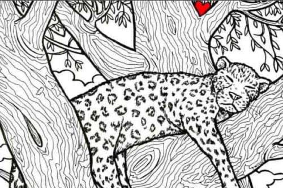 Оптическая иллюзия, которая «решает только 3 человека». Изображение с тигра скрывает рыбу, вы видите его за 5 секунд?