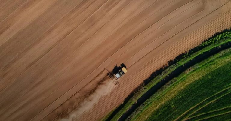 1 миллиард UAH планирует привлечь бюджет земельного банка на аукционе в 2025 году