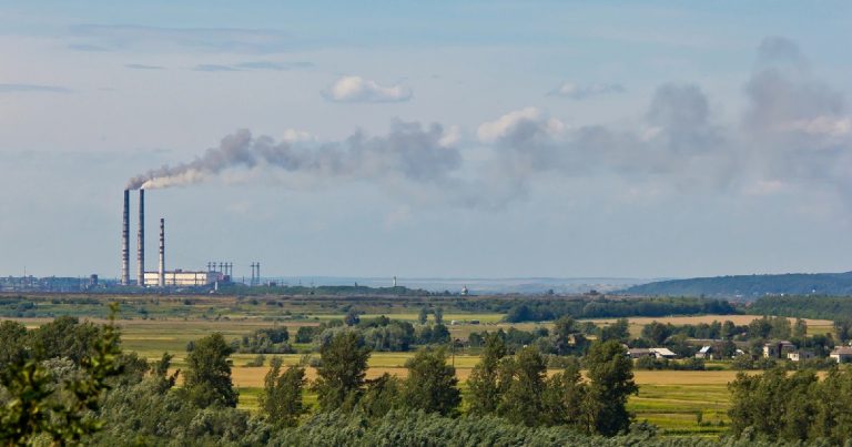 51 миллиард долларов принесла украинский экспорт в бюджет в 2024 году - Министерство экономики