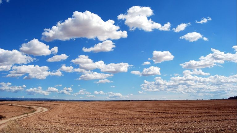 Запрещение поля в аренду - удар среди фермеров