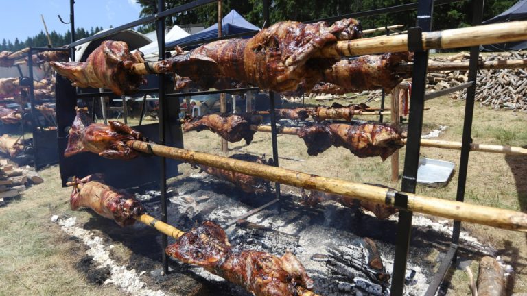 Как узнать болгарский ягненка: объяснения продовольственного агентства