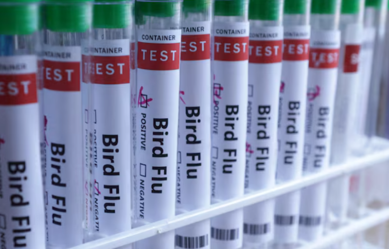 Первый случай птичьего гриппа H5N1 был записан в Мексике