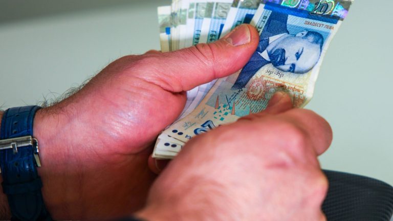 Стало ясно, в каких секторах серой экономики в Болгарии - огромный процент