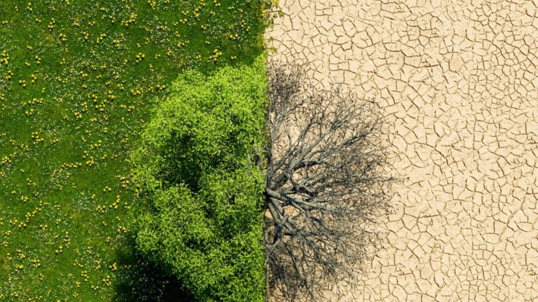 Прецедент Климасениориннен - ​​которые являются дамами, которые осудили свою страну за бездействие климата (видео)