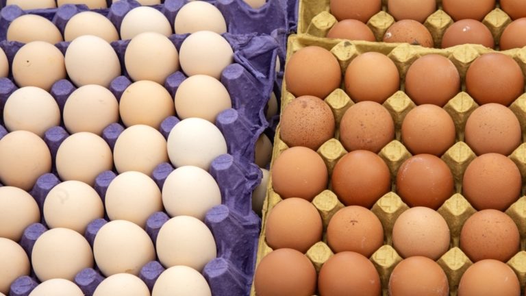 Болгарские, польские и маленькие украинские яйца на рынке: что предпочитает болгарскую хозяйку?