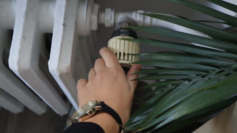 Без «Toplofikatsiya Sofia» и нагрева только электричества. Прогноз Газы: прокомментировал нового председателя EWRC