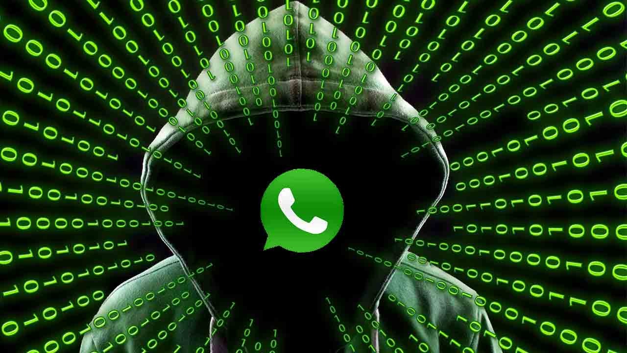 Если вы используете WhatsApp на своем компьютере, вы рискуете потерять важные данные. Что скрывает «тривиальную» картину, полученную в сообщении