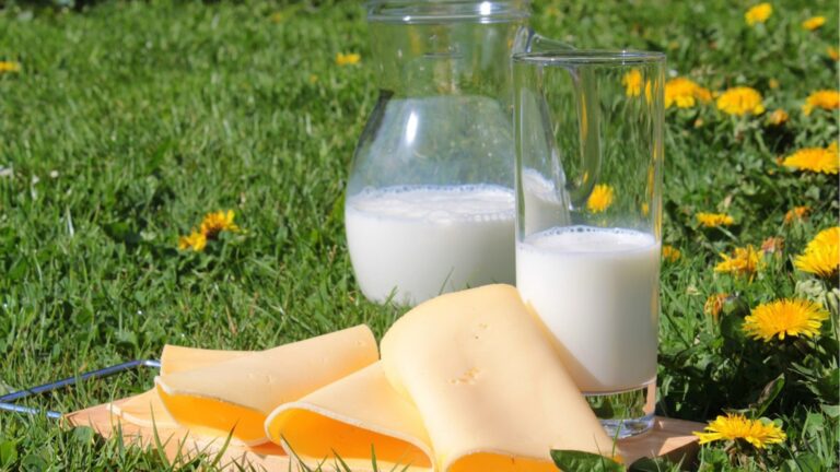 9 продуктов, которые имеют больше кальция, чем стакан свежего молока