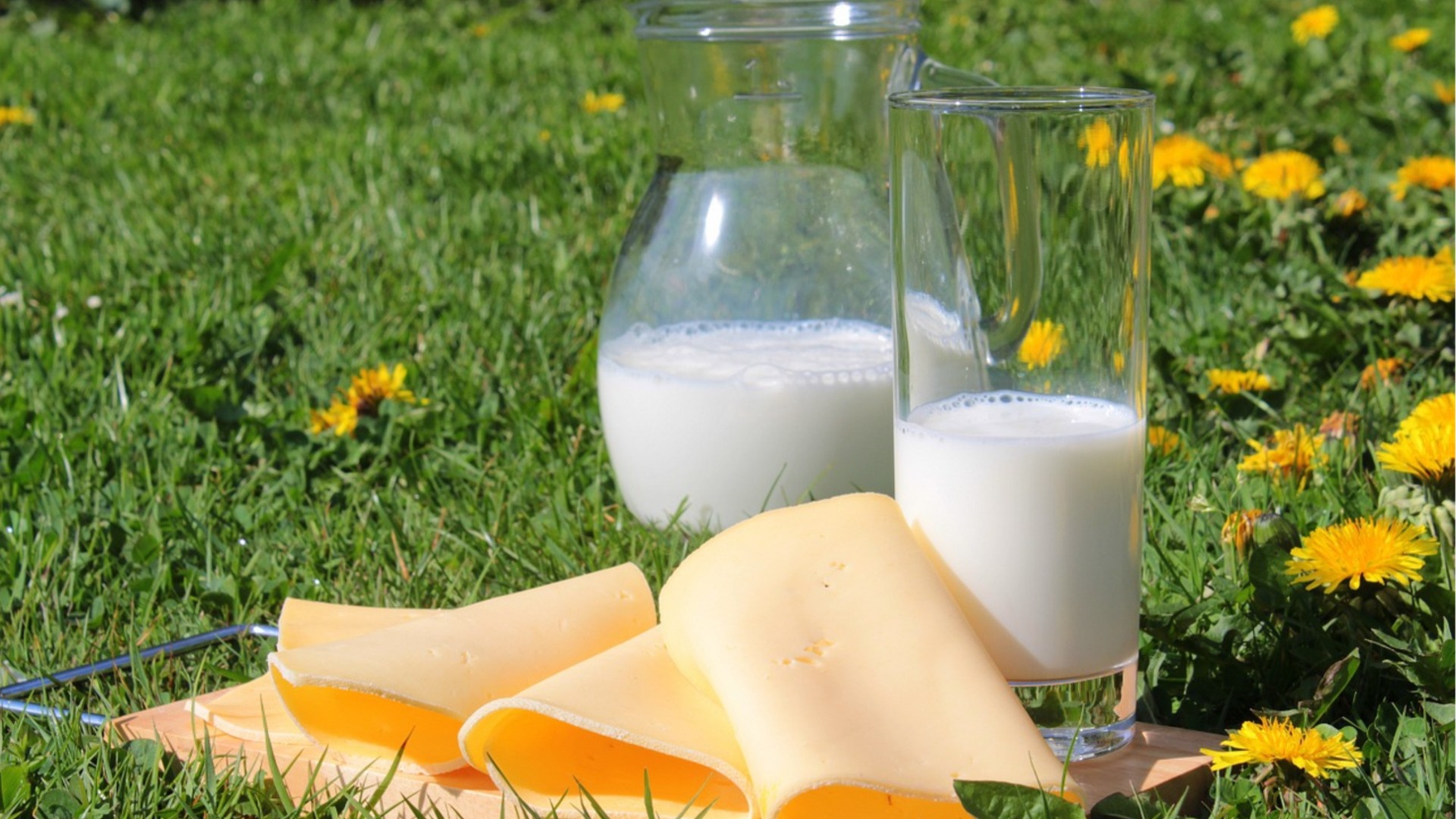 9 продуктов, которые имеют больше кальция, чем стакан свежего молока
