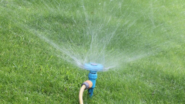 Не поливайте траву, прежде чем прочитать это - ошибки, которые убивают газон