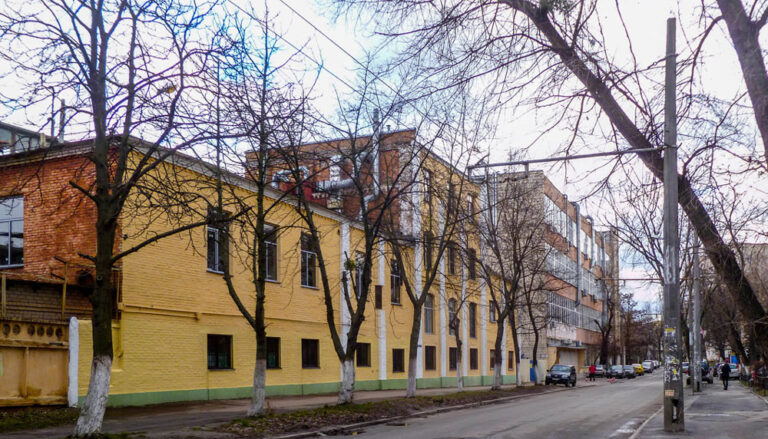 Витаминный завод Киева увеличил прибыль на 9% в 2024 году