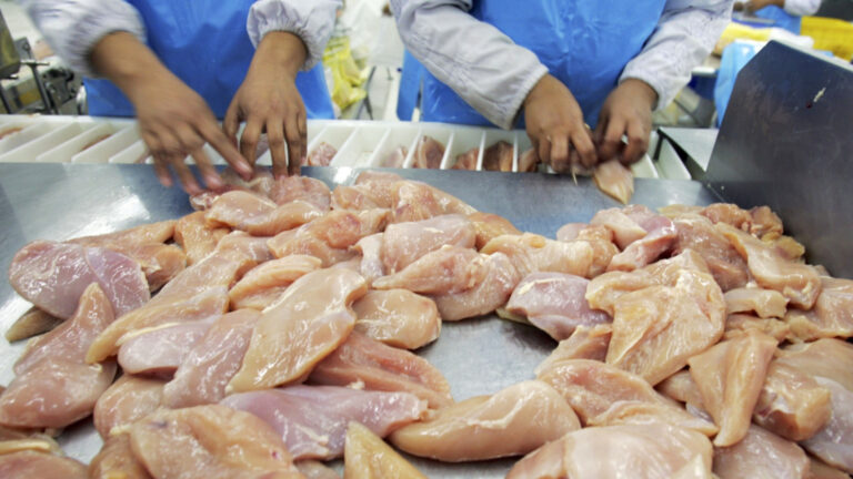 ЕС является потерями для миллиардов Украины с новыми обязанностями и квотами для украинской еды