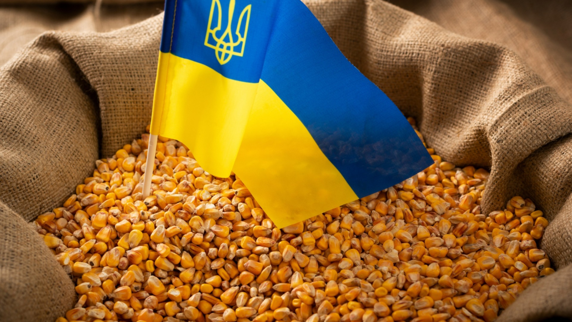 ЕС и Украина ведет переговоры о новом торговом соглашении по сельскохозяйственным товарам