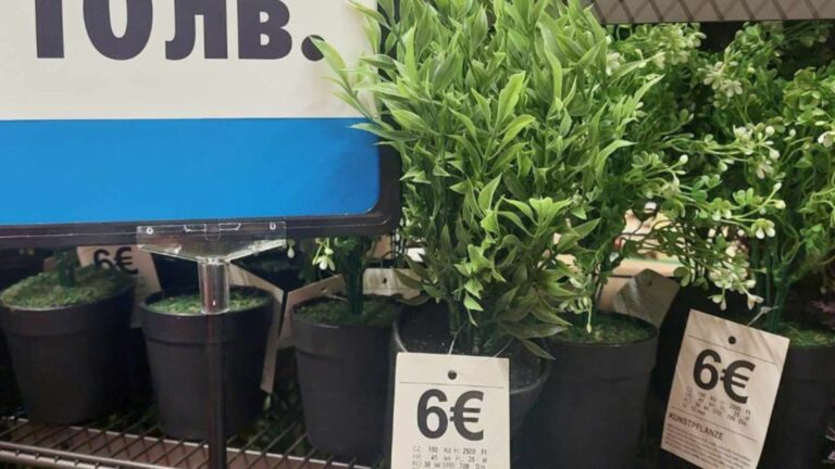 Как правильно писать цены на евро в магазинах?