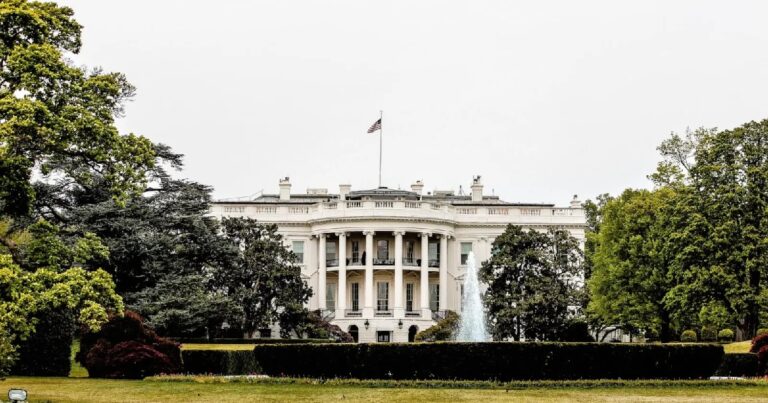 Таможенные тарифы Трампа возобновились на следующий день после их отмены