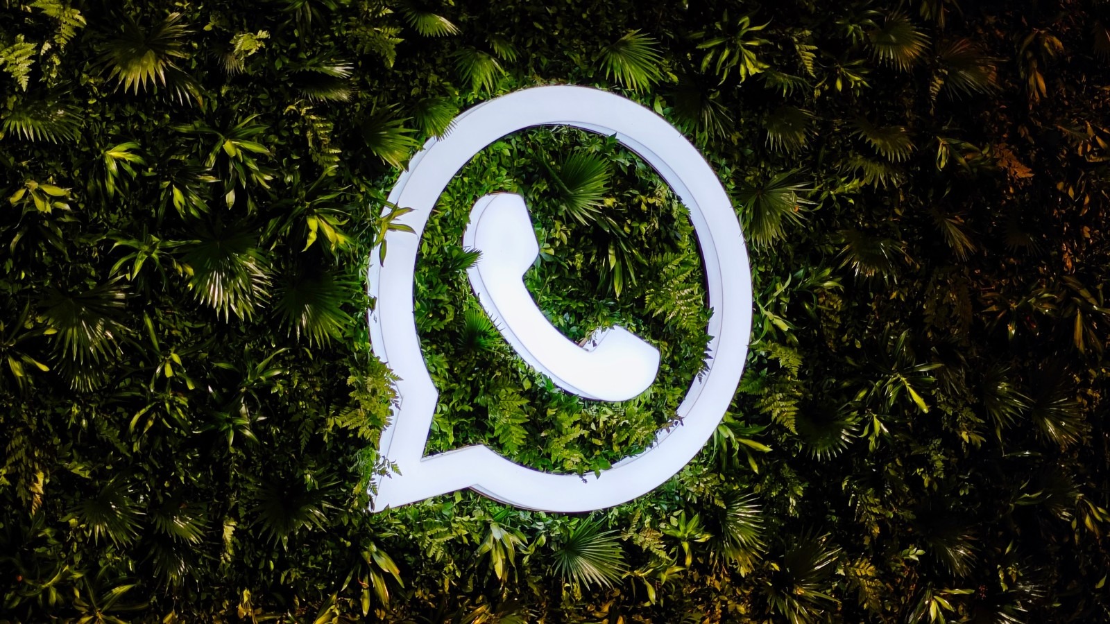 Шотландия говорит, что Adio WhatsApp: Почему правительство бросило неофициальные заявки на обмен сообщениями