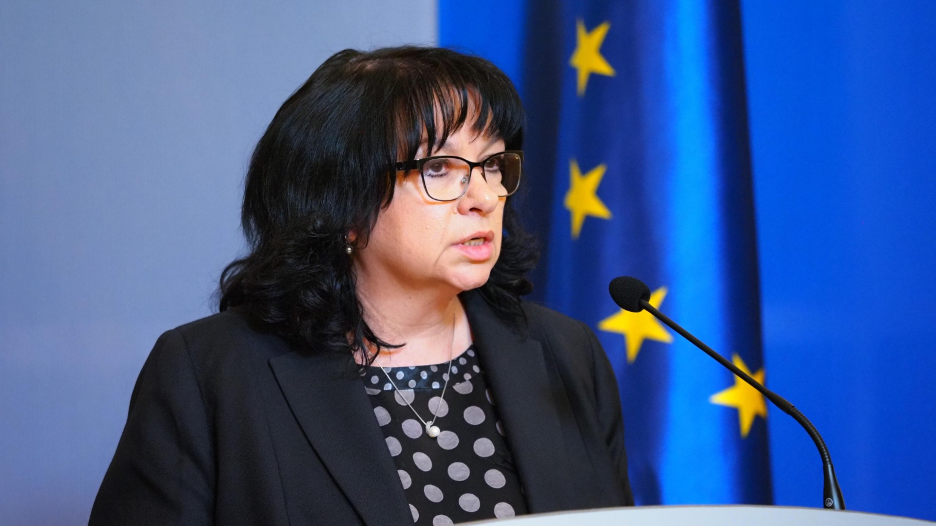 Повышение налогов и новый бюджет: Temenuzhka Petkova против Assen Vasilev