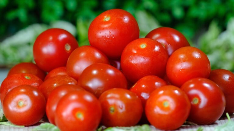 Сделайте помидоры цветут даже в самой большой жаре