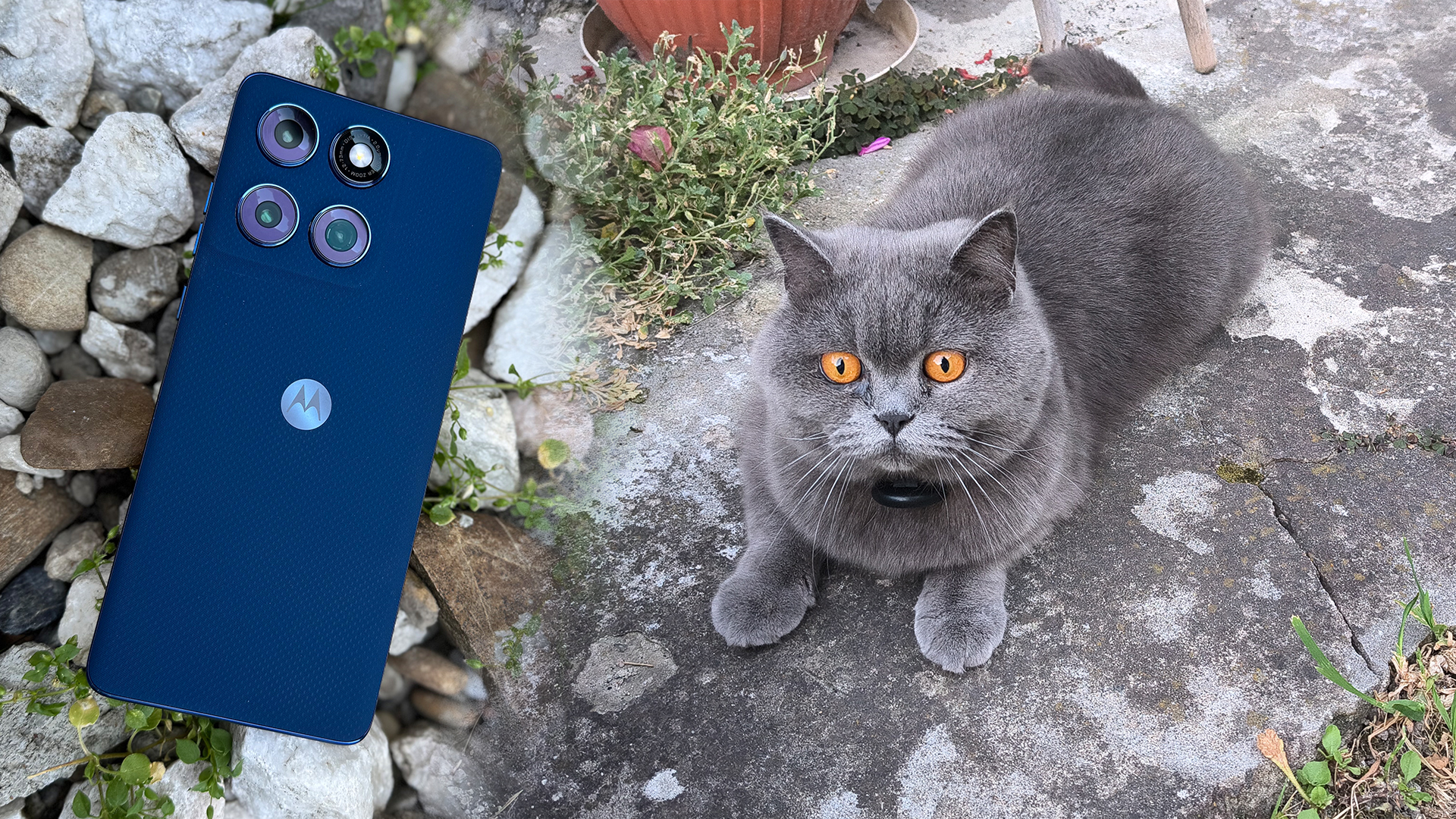 Motorola Edge 60 5G-правая цена, которую вы не можете оставить в руке. Красивые, устойчивые, хорошие фотографии и оснащены ИИ
