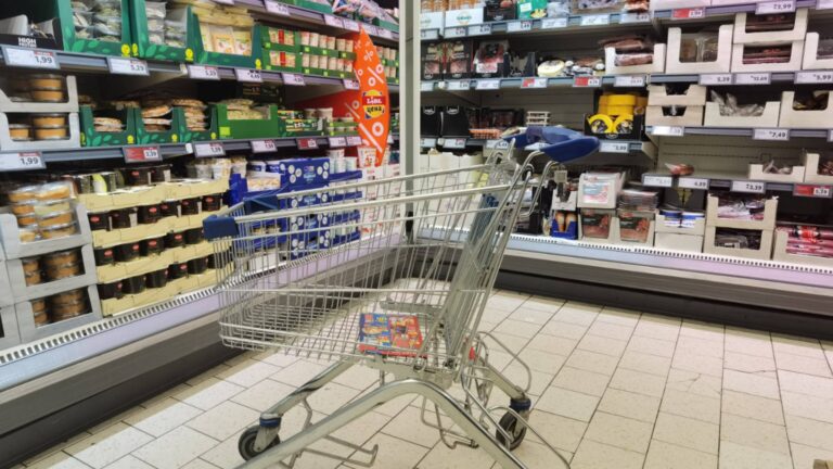 Citub: В крупных розничных торговых точках цены на продукты питания выше