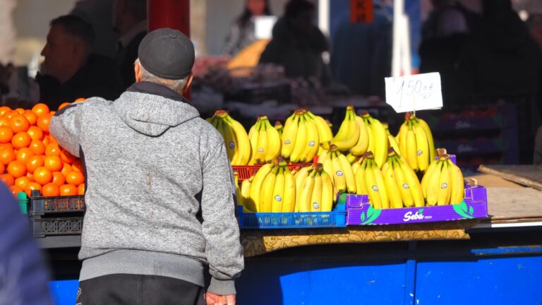 Цуккини, абрикосы, овощи: оценка продолжается