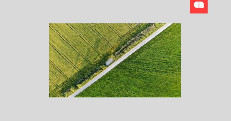 Землепользователи заплатили за 21 миллиард UAH за местные бюджеты